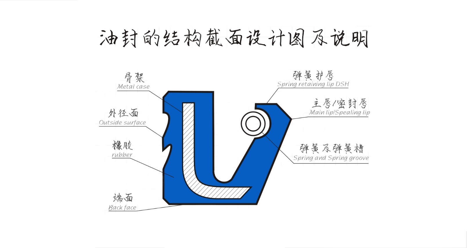 骨架油封的结构部位的作用介绍